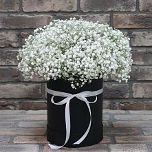 Цветочная композиция из Гипсофила в шляпной коробке #REPLACE_PRED# Елизаветинской Краснодарского края