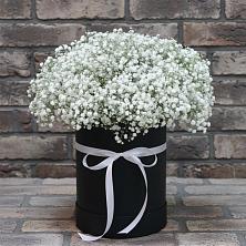 Цветочная композиция из Гипсофила в шляпной коробке в Елизаветинской Краснодарского края