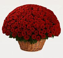 Премиум букет из: Розы в Елизаветинской Краснодарского края